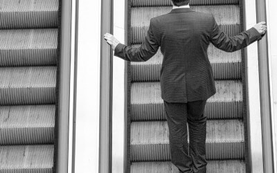Do you have a mentor?