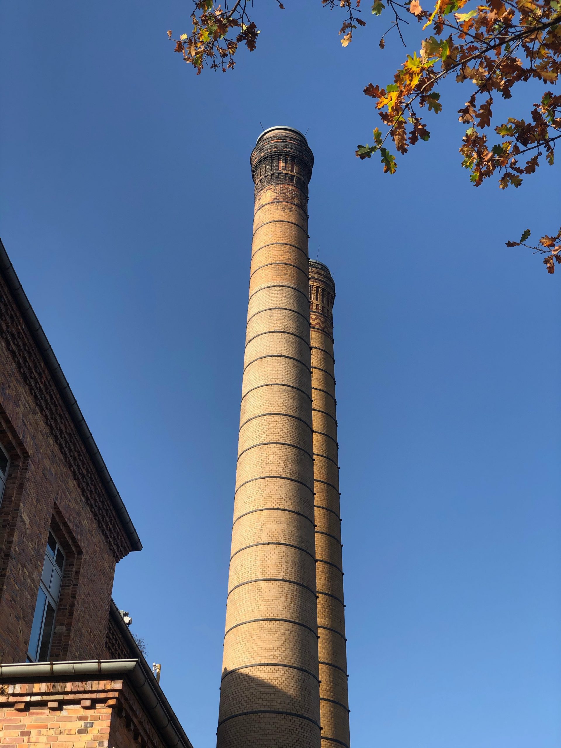 Dealing with narcissists